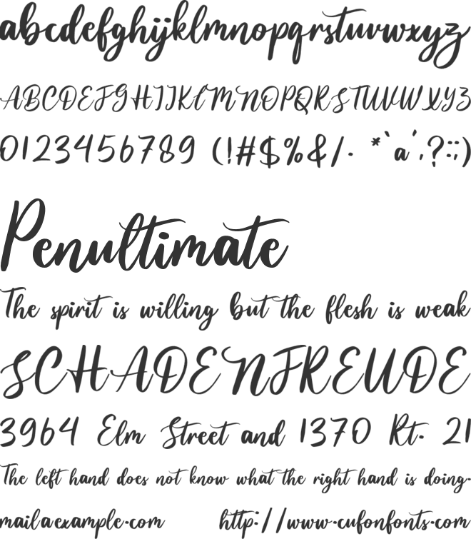 Bulgabia font preview