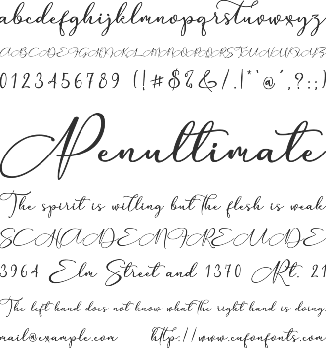 Anything Script_1 font preview