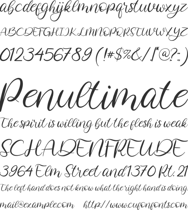 Costly Dishy font preview
