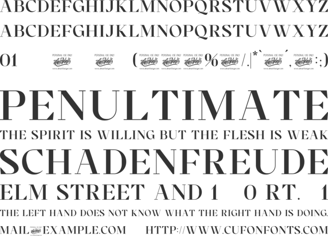 Cronisse font preview