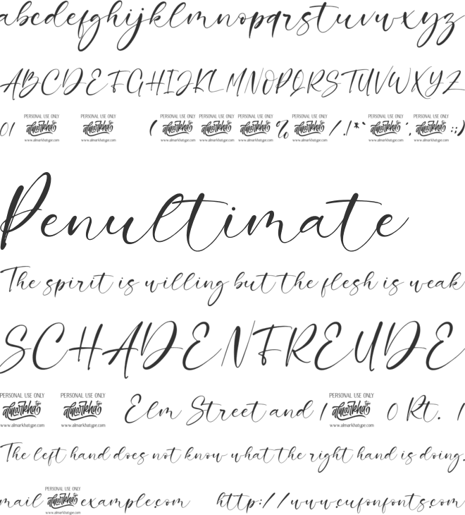 Charlie Angela font preview