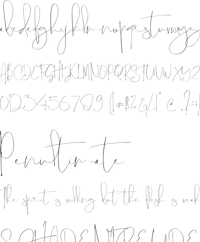 Thamepalms font preview