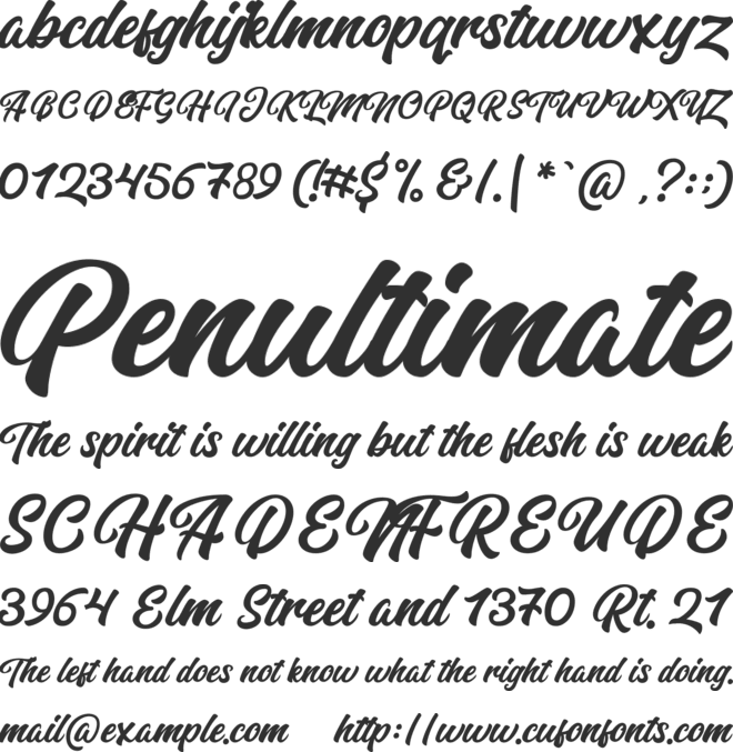 Rubellion Script FREE Personal font preview