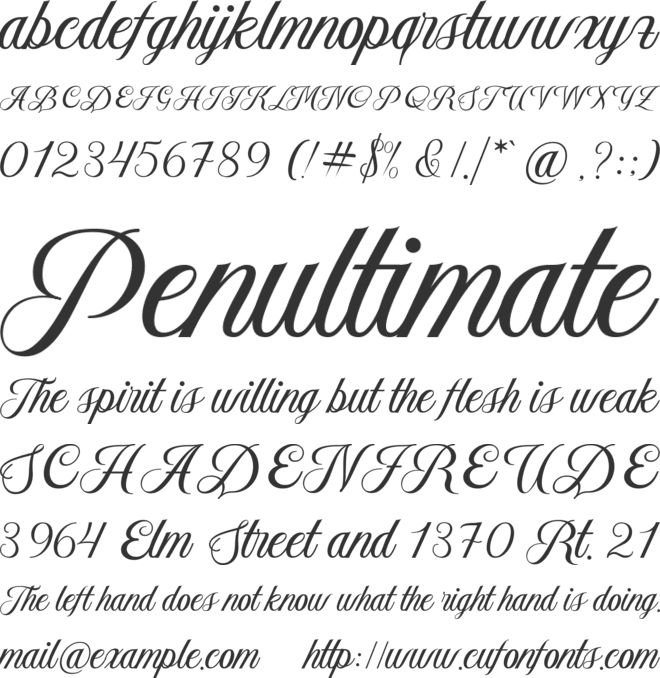 Aetrina Script font preview
