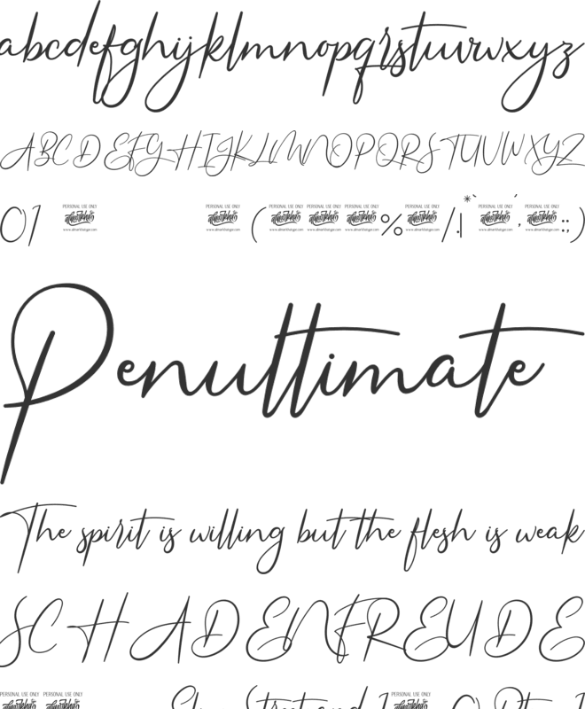 Americans Classy font preview