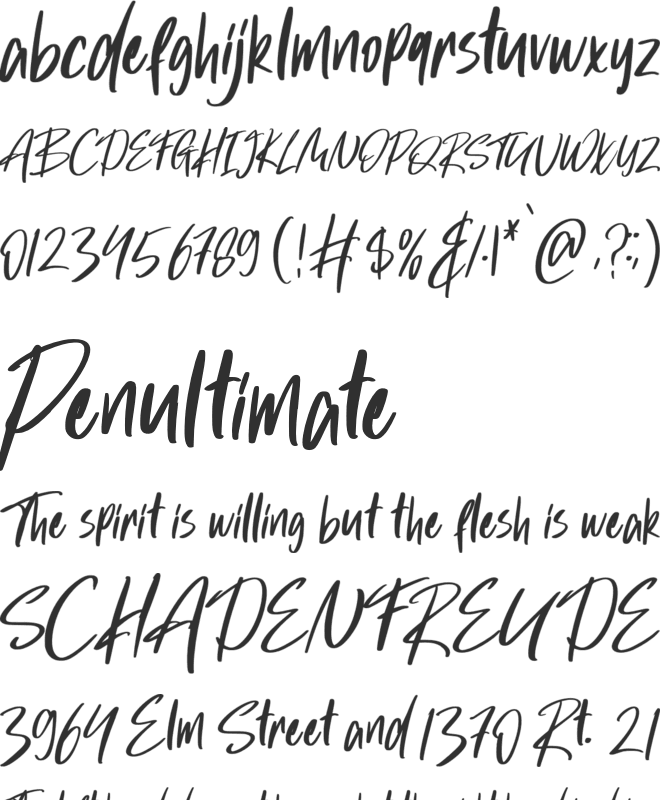 Hola Augusto font preview