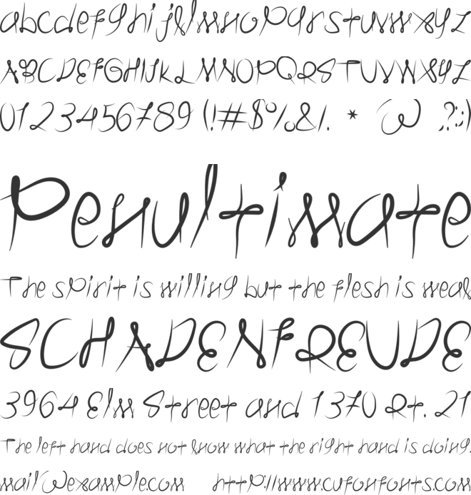 Raina Husna font preview