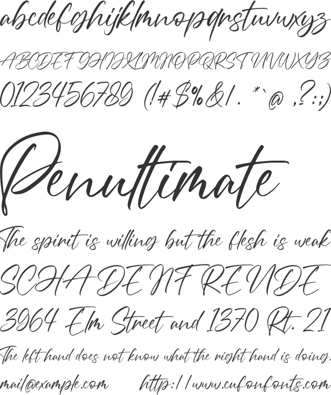 Right Strongline font preview