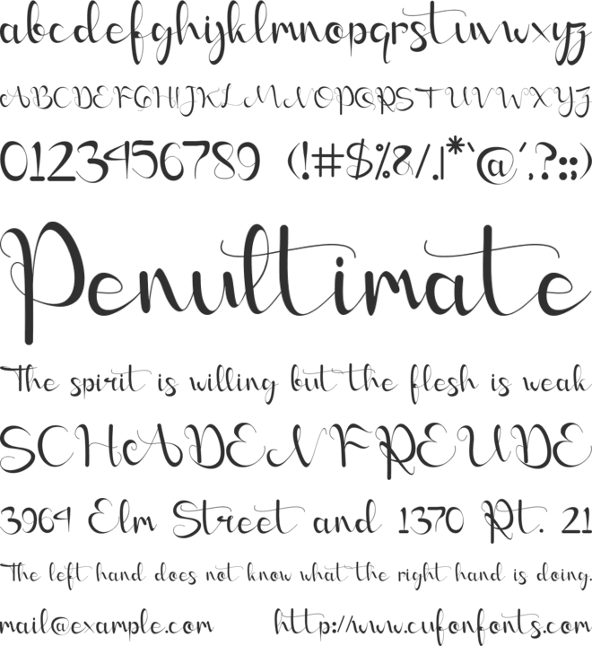 Angellica- PERSONAL USE font preview