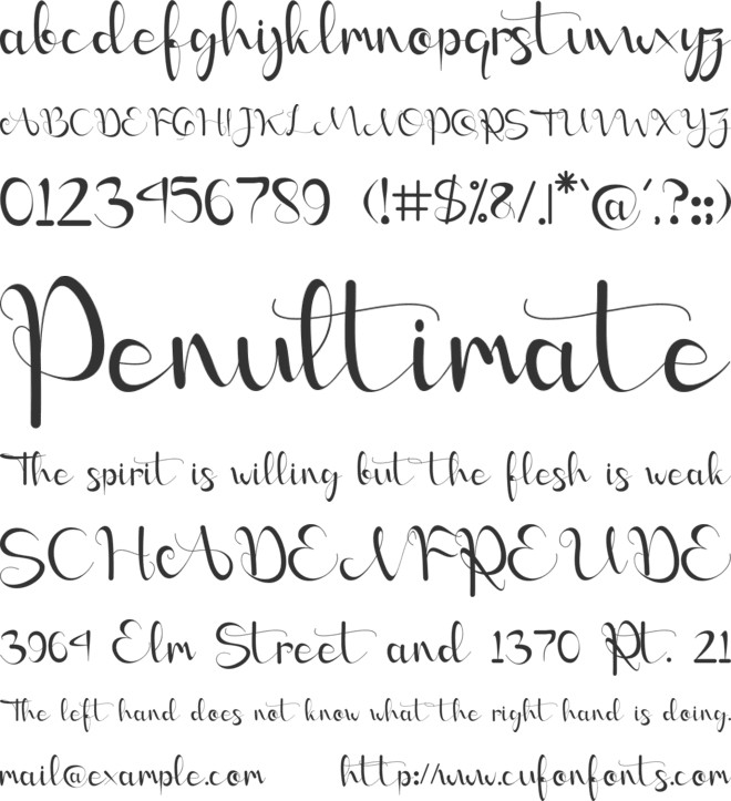 Angellica- PERSONAL USE font preview