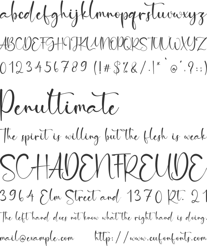 Orange Signature font preview
