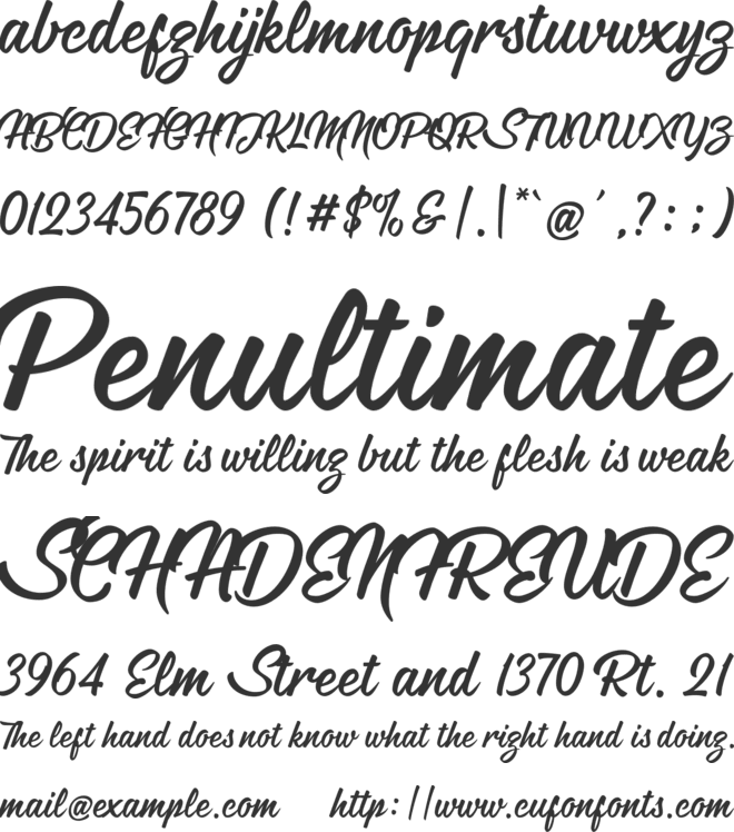 Hontana font preview