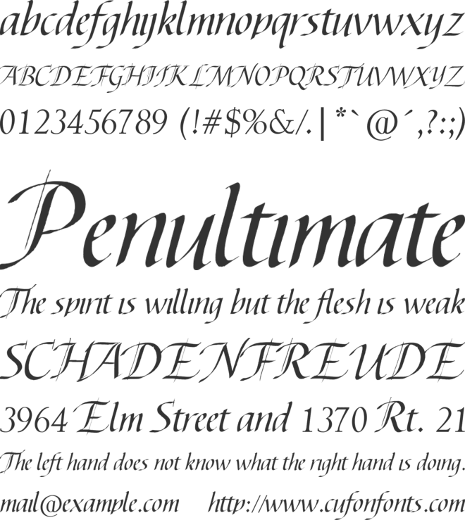 Abdullah font preview