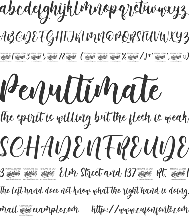 Bonalisha font preview