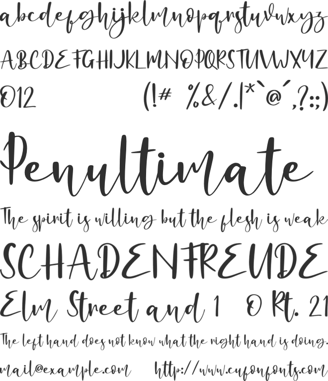 Alligattory font preview