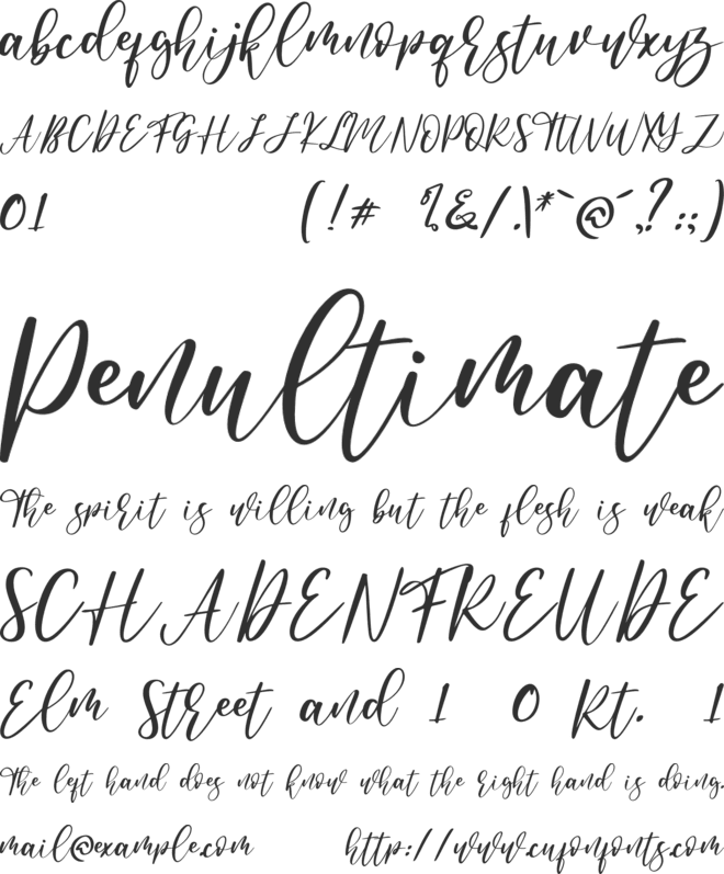 Anandya font preview