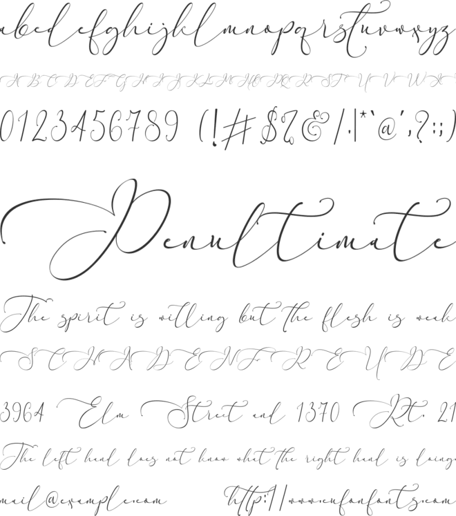 Everything Calligraphy font preview