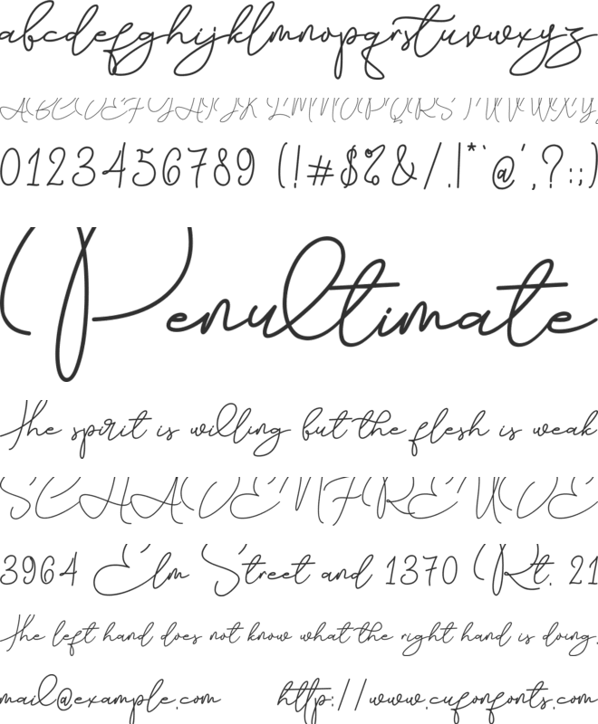 Chapter Eight font preview