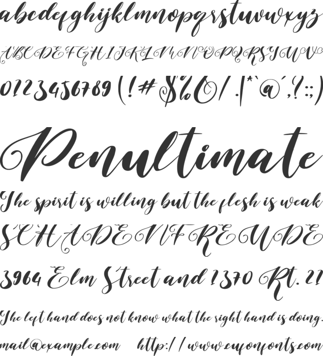 Bridgia font preview