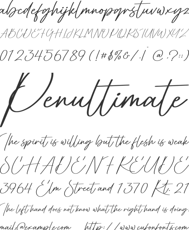 Gaston font preview