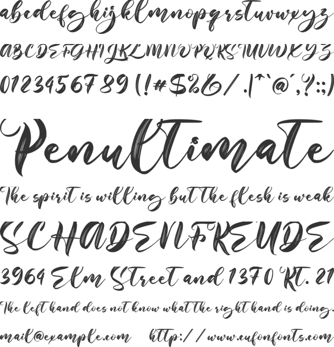 Still Sunshine font preview