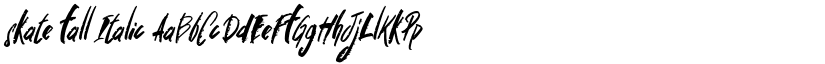 skate fall Italic font
