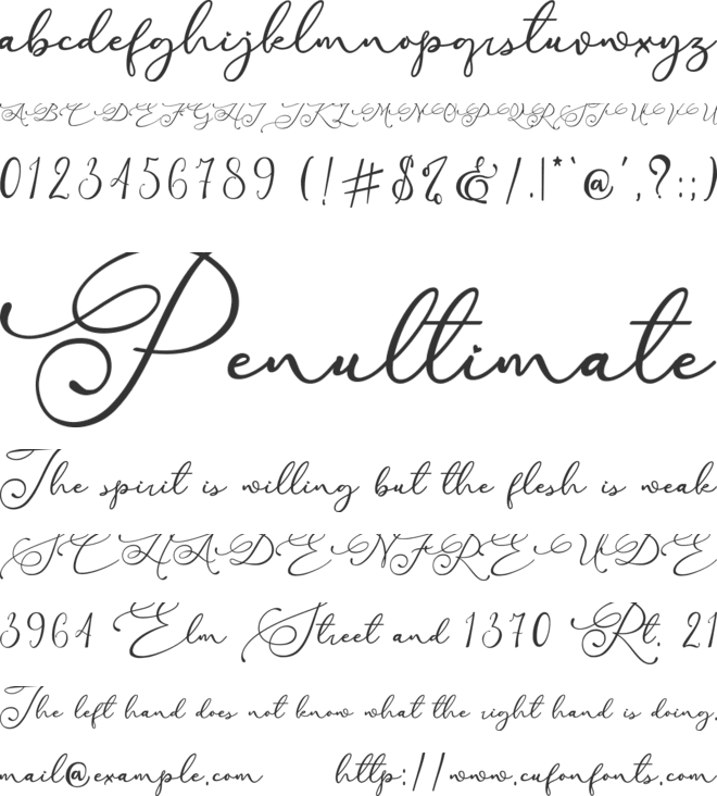 Raregold font preview