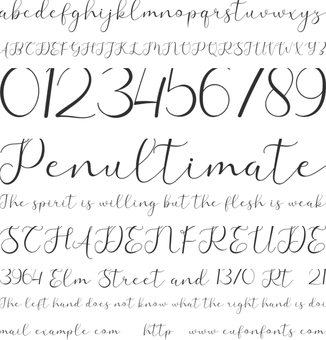 Adelaide font preview