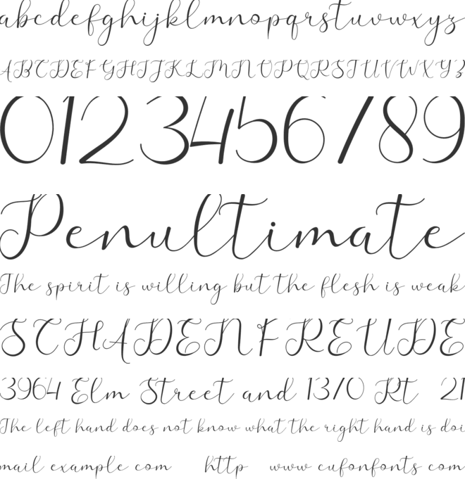 Adelaide font preview