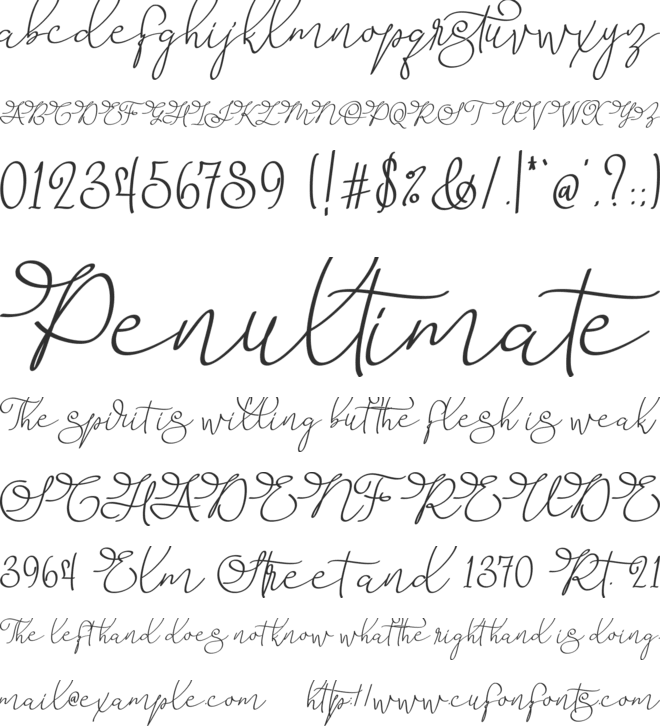 Barista Script font preview