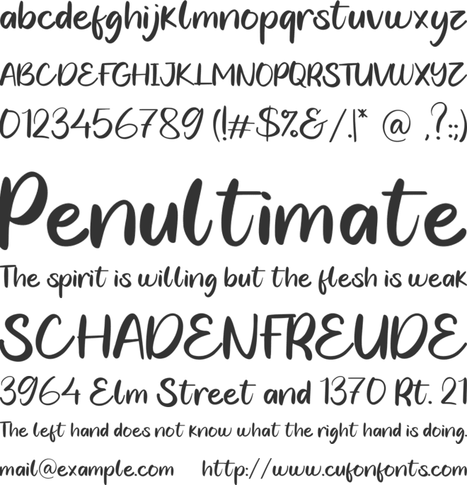 Leoch Nisa font preview