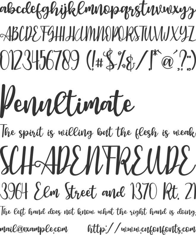 Assasins font preview