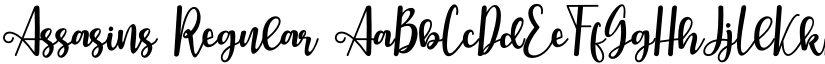 Assasins Regular font