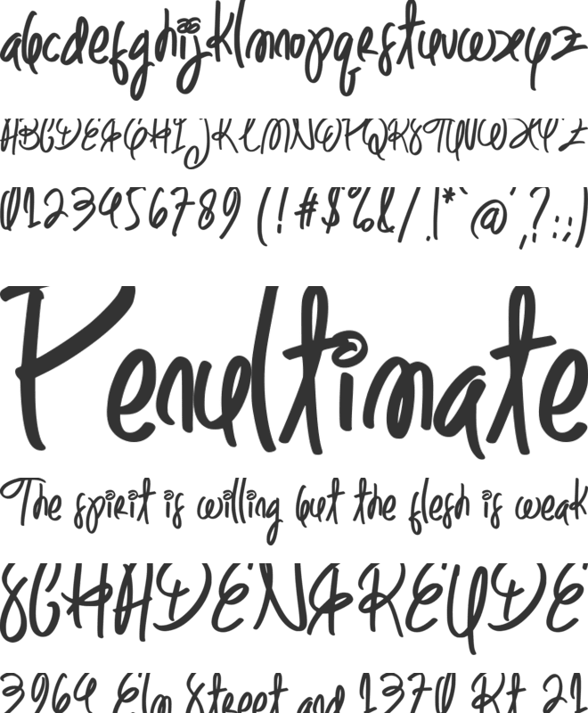 Swift Gorgeous font preview