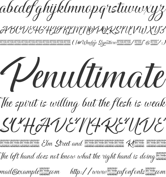 Windey Signature personal use font preview