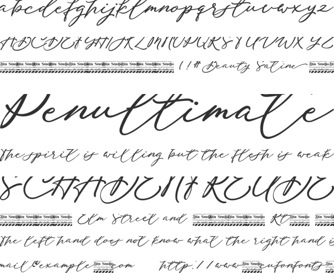 Beauty Satine Personal Use Font font preview