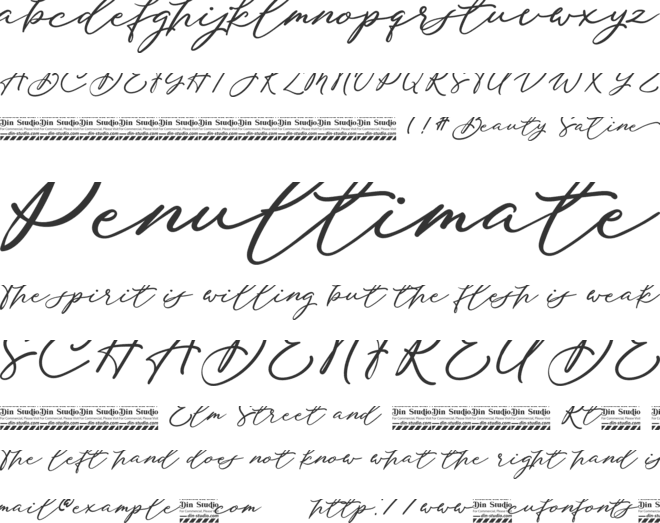 Beauty Satine Personal Use Font font preview