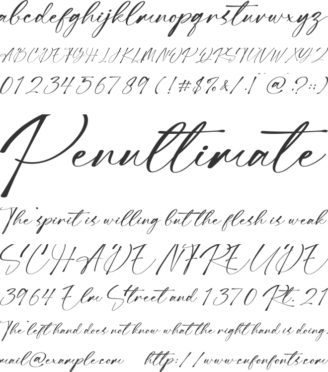 Destiny Signature font preview