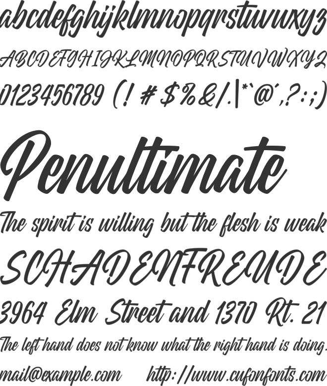 Wildline font preview