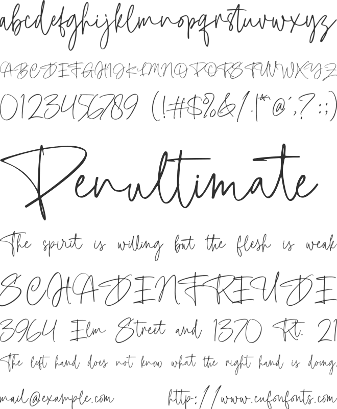 Taylor Hand font preview