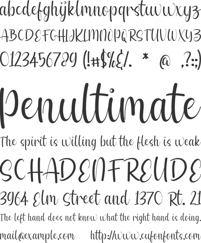 Wenny Flower font preview