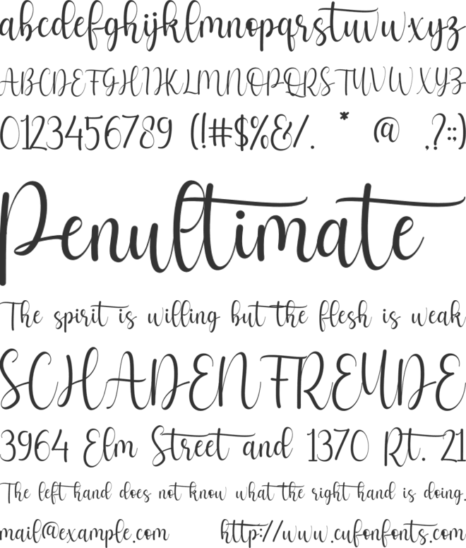 Nafisha font preview