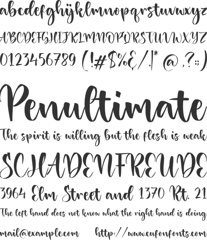 Danisha font preview