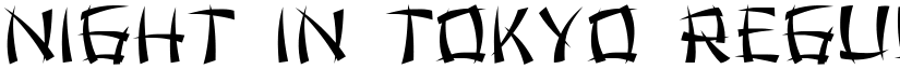 Night in Tokyo Regular font