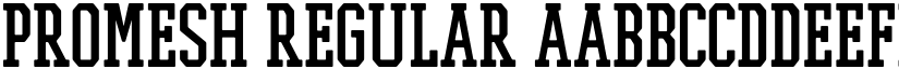 PROMESH Regular font