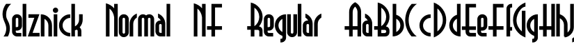Selznick Normal NF Regular font