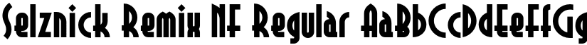 Selznick Remix NF Regular font