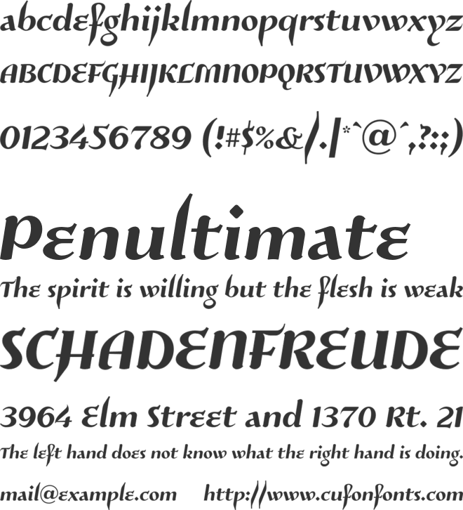 RisaltypS01 font preview