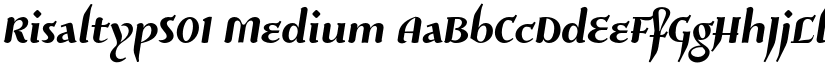 RisaltypS01 Medium font
