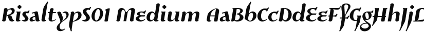 RisaltypS01 font download